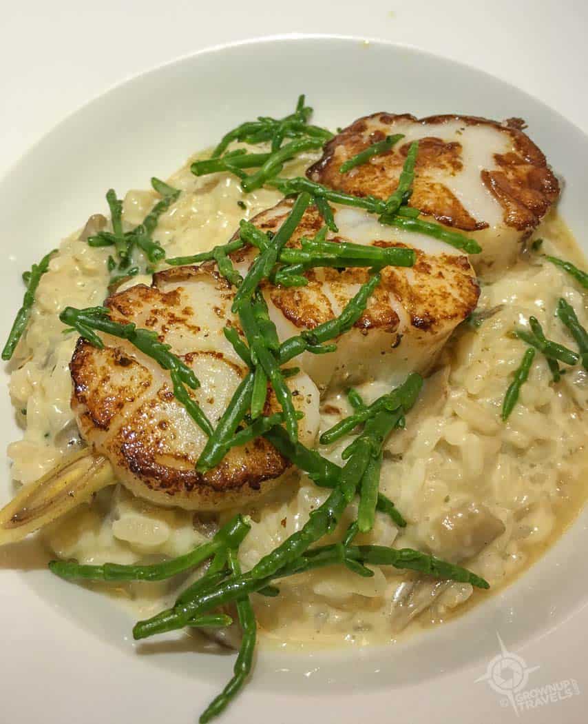 incomum scallops sintra