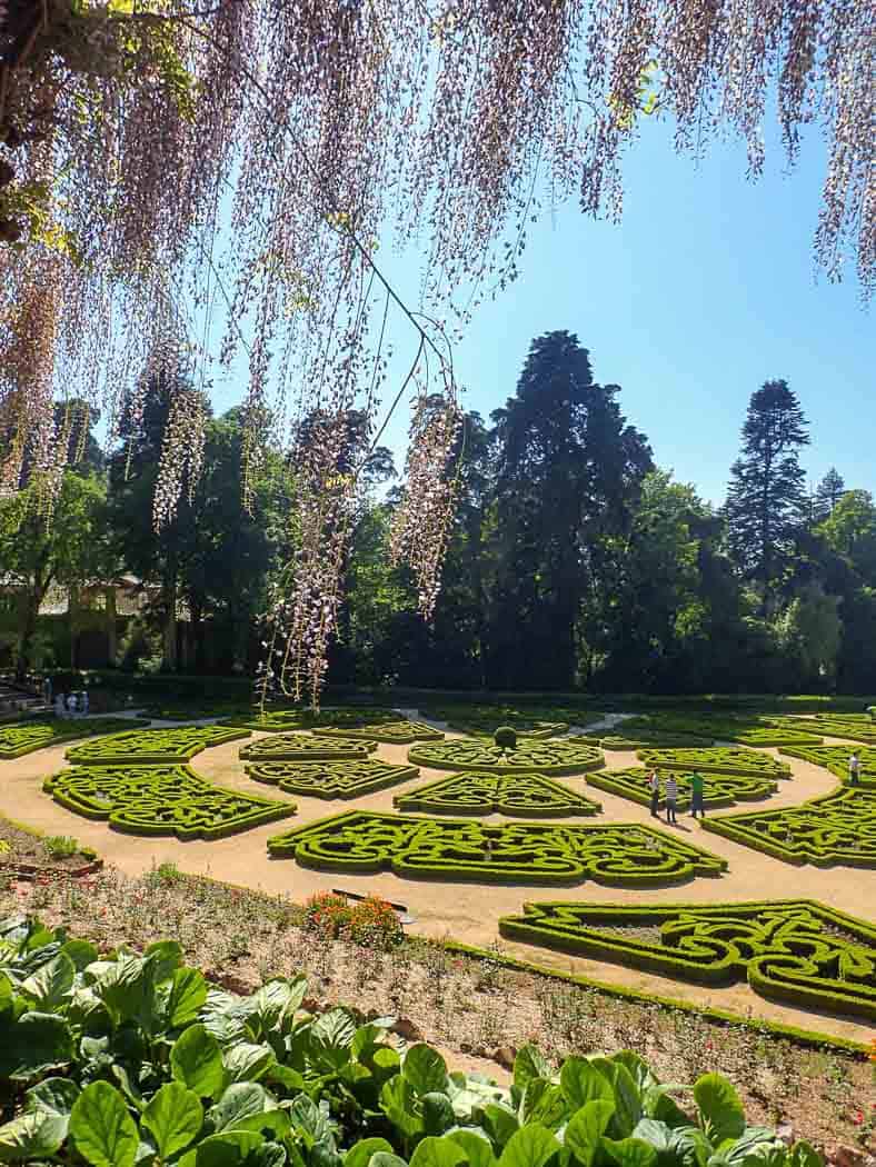 Formal plantings at Bussaco Palace