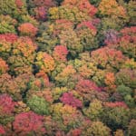 A colourful fall getaway in Grey County