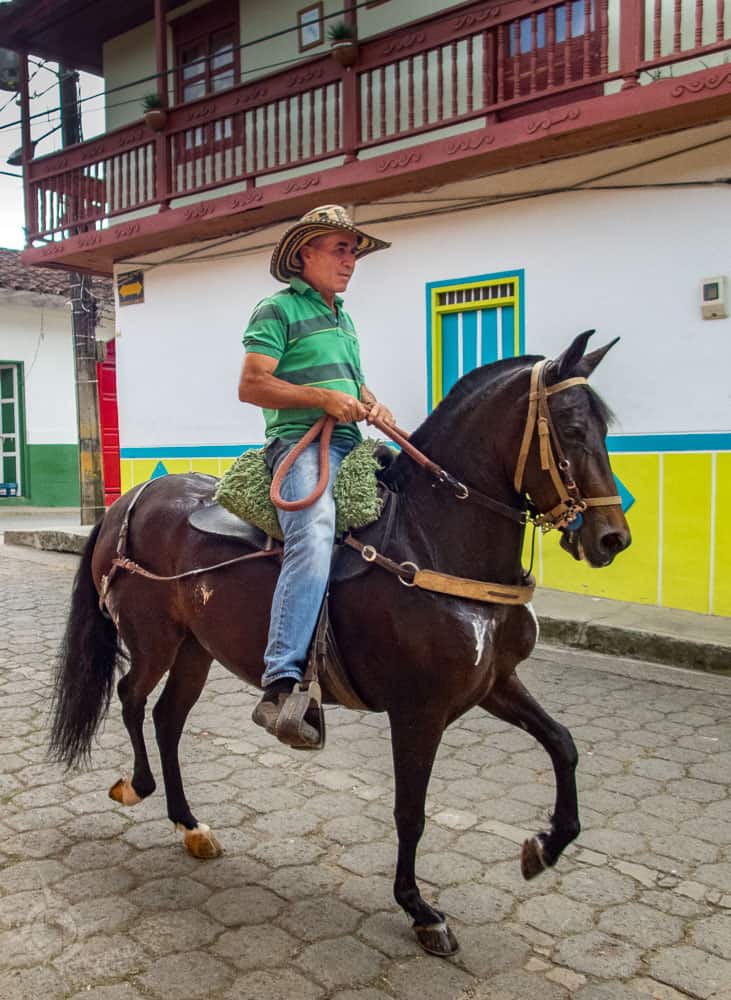 Jardin Cowboy on Paso Fino