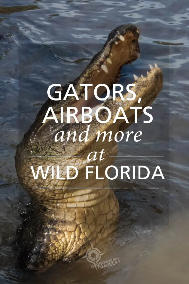 Pinterest Wild Florida