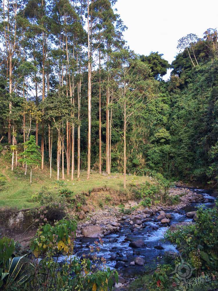 River near trout farm Jardin