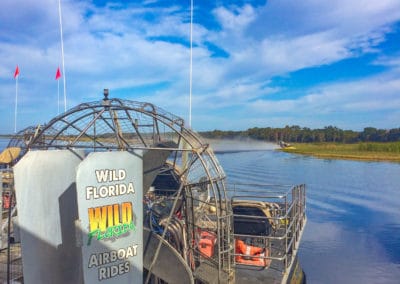 Wild Florida airboat