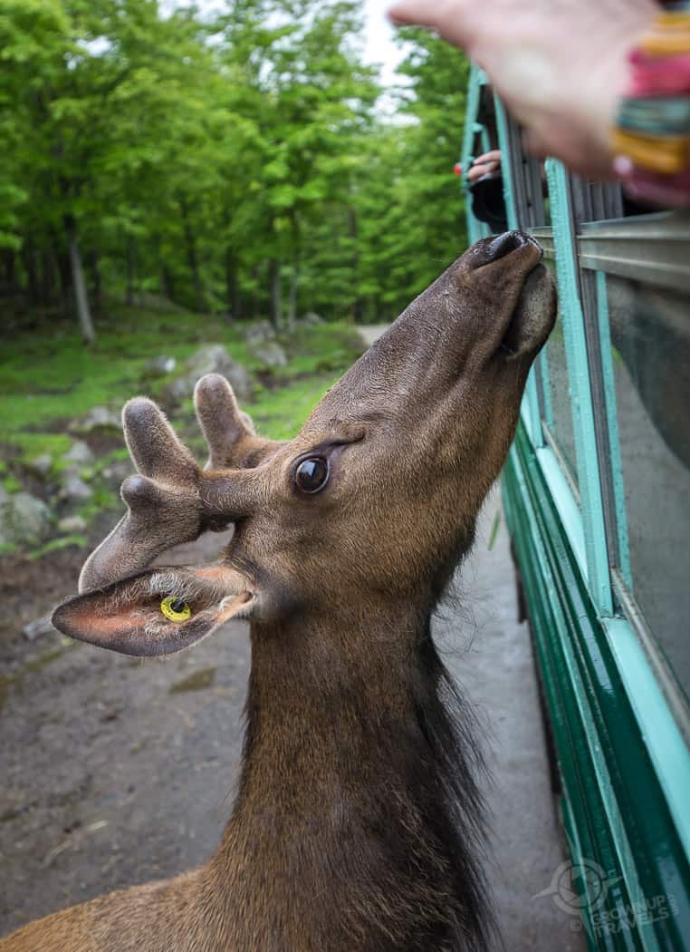 ParcOmega Feeding from Bus