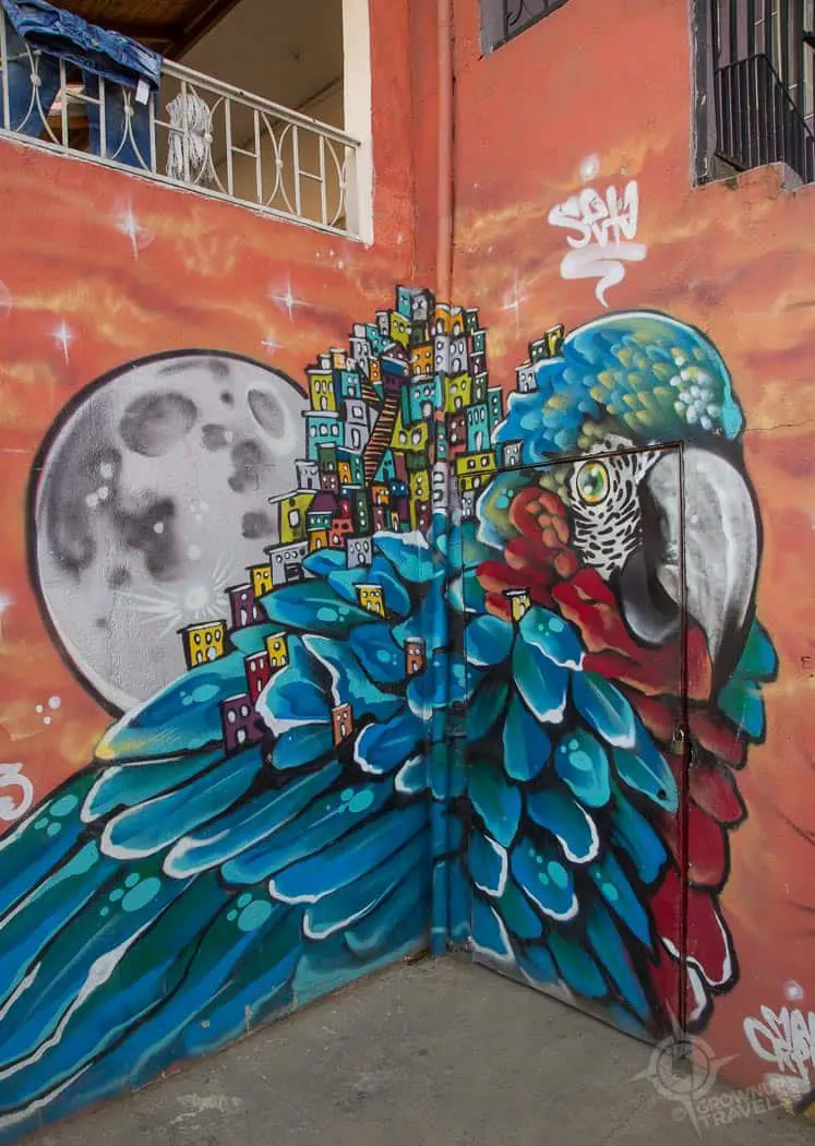 Comuna 13 Parrot grafifti