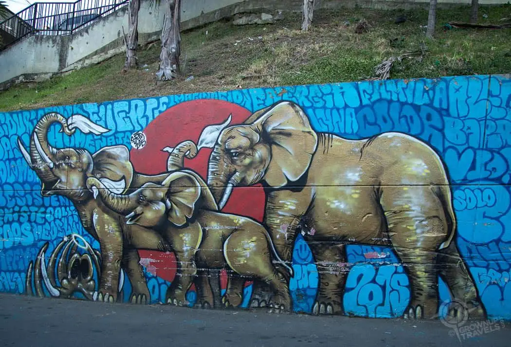 Elephant Graffiti Comuna 13