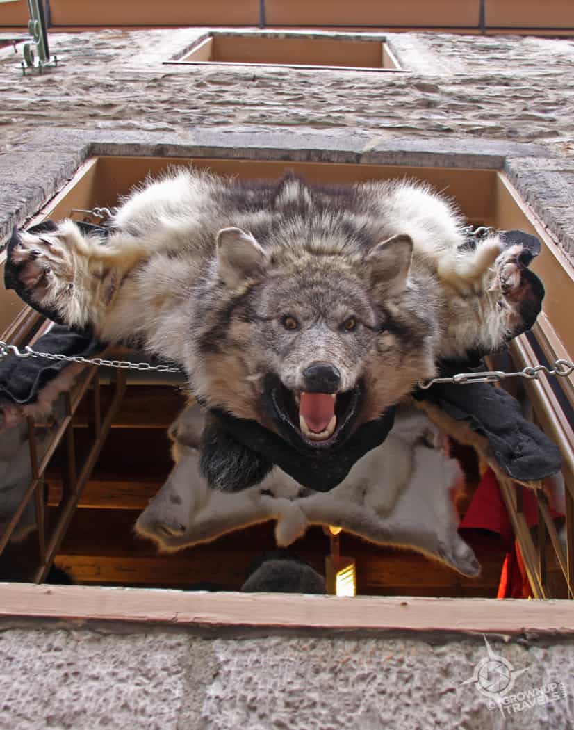 Pelts for Sale Quebec