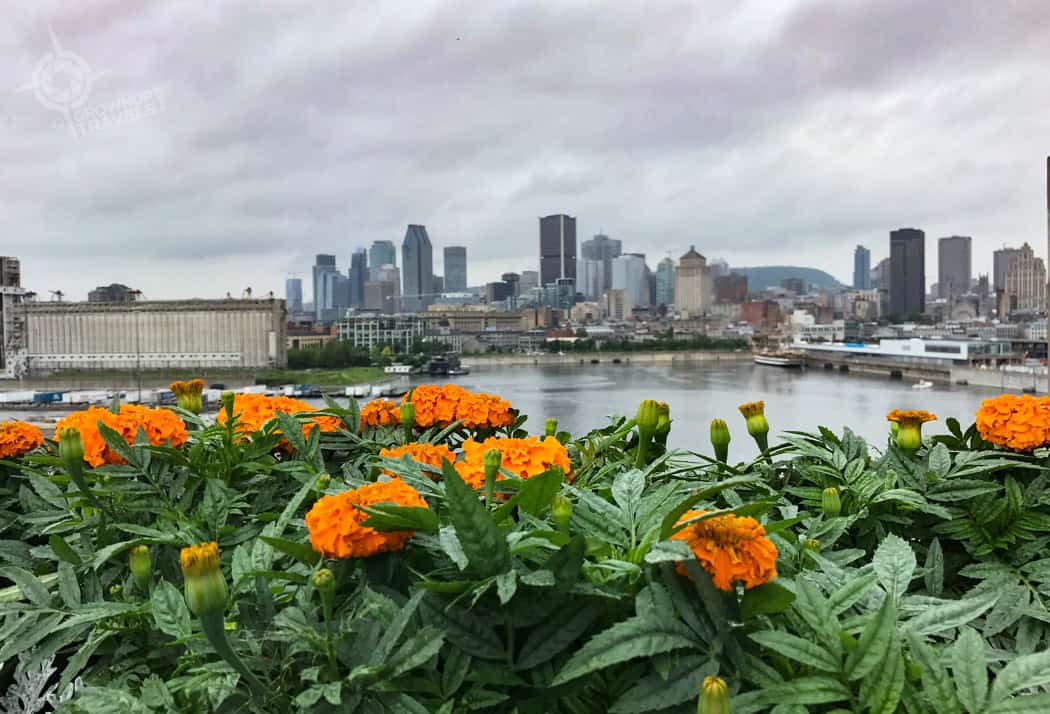 Habitat 67 Montreal port and flowers