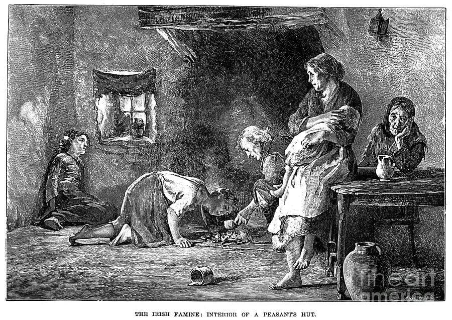 Irish Peasants Hut