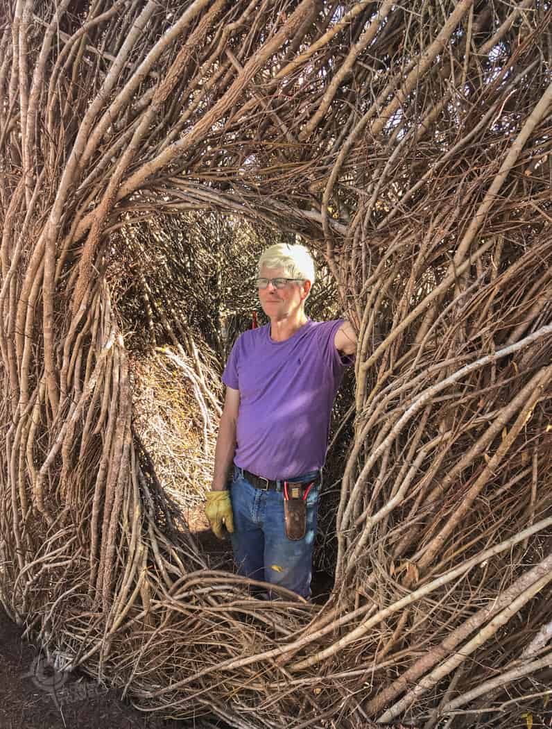 Patrick Dougherty