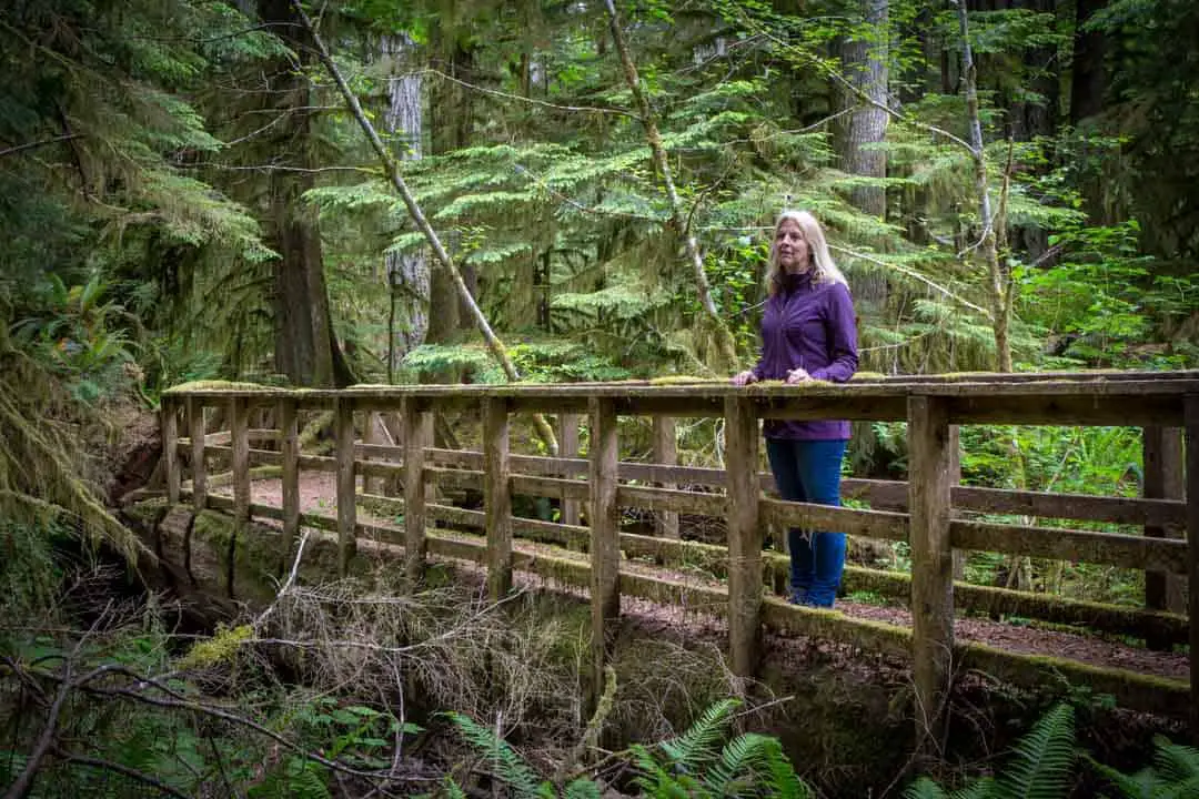 Bridge in Cathedral Grove