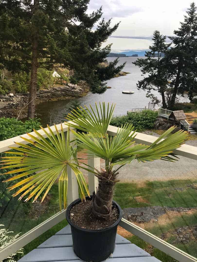 Rockwater Main Lodge view to Cove