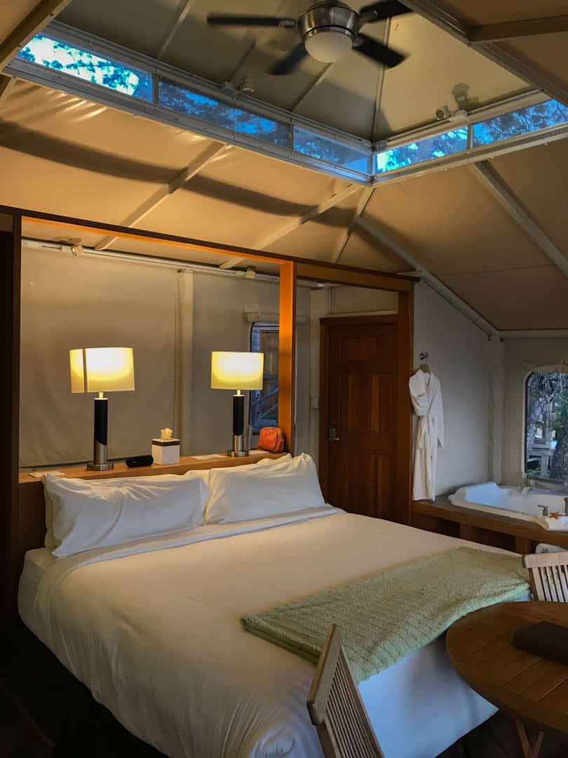 Rockwater Tenthouse roof