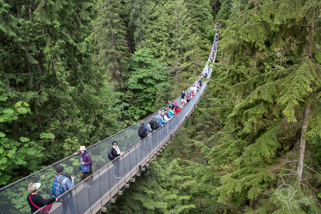 Traffic on Capilano Suspension Bridge