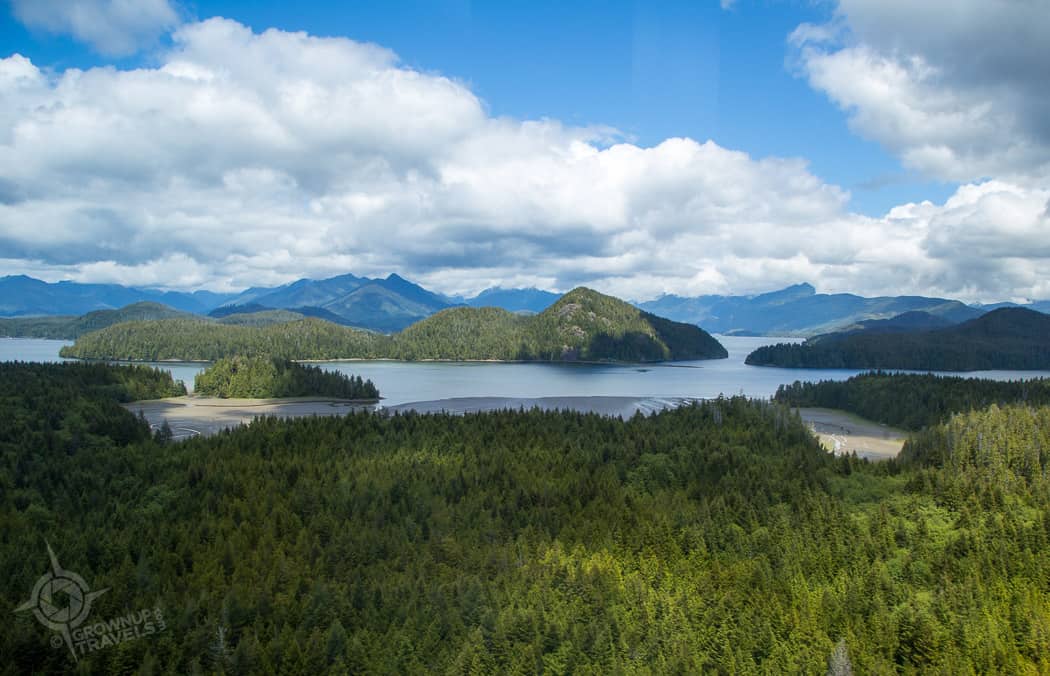 Helicopter Tour Tofino landscape