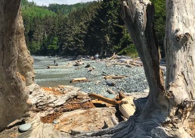 Driftwood on French Beach Vancouver Island