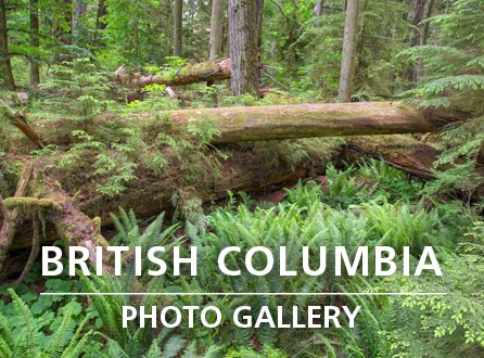 British Columbia Photo Gallery