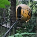 Free Spirit Spheres: Treehouses-in-the-Round on Vancouver Island