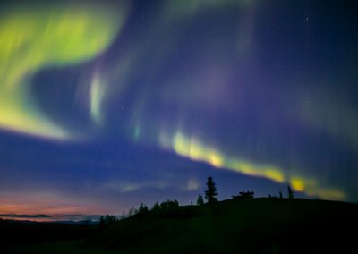 August Northern Lights Dawson City