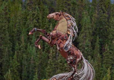 Metal Horse Whitehorse Yukon