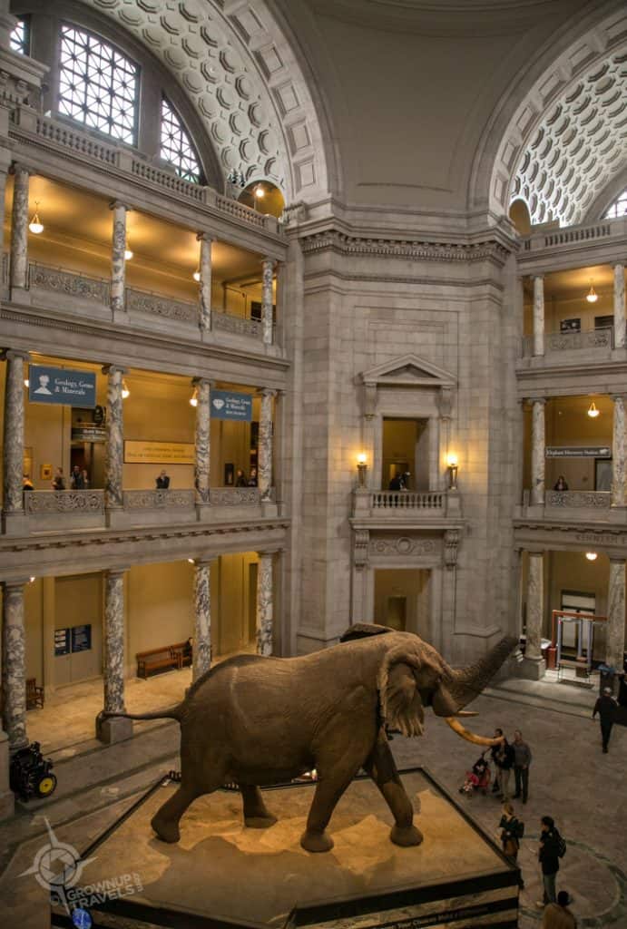 Museum of Natural History rotunda Washington