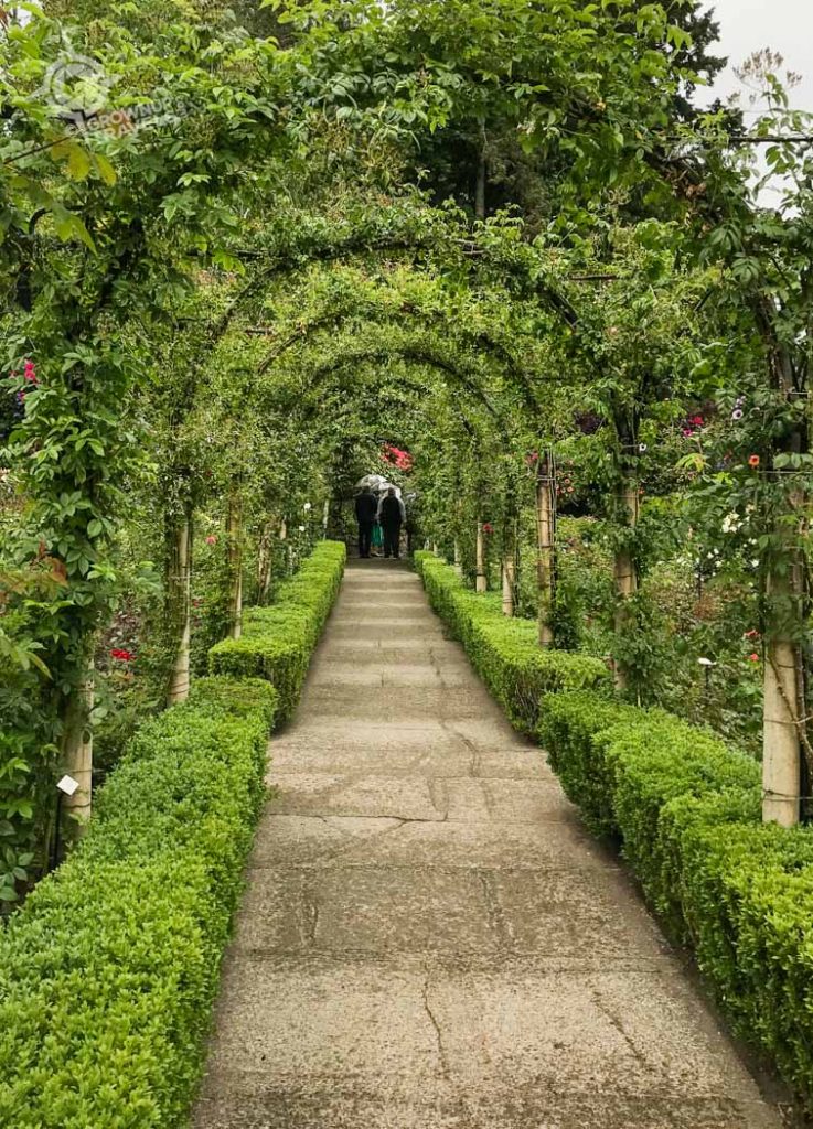 Butchers Gardens leafy walkway