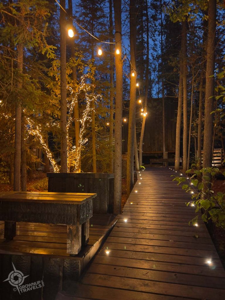 Black spruce walkway at night
