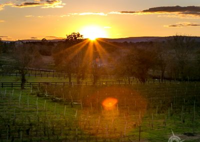 Loudoun County sunset at Sunset Hills Winery