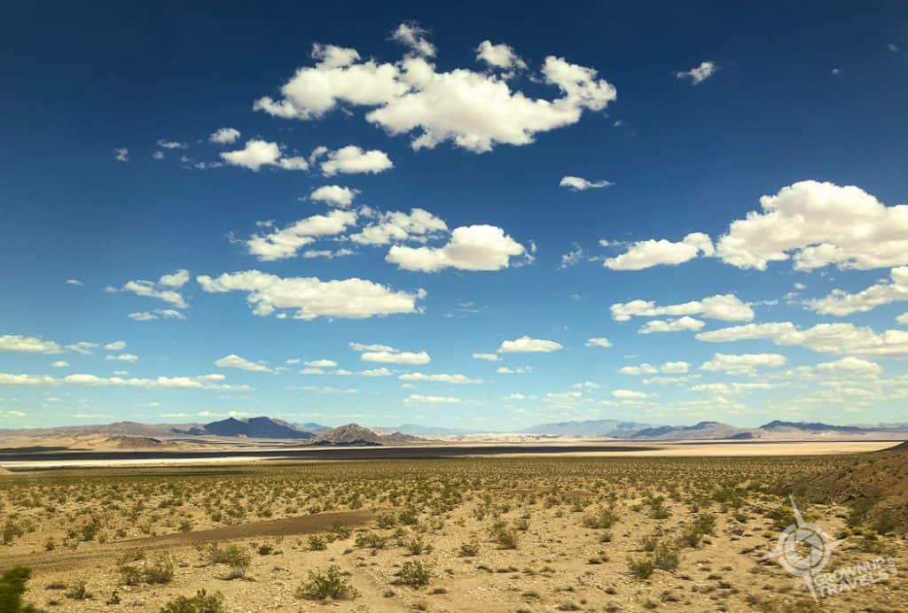Death Valley Greenery