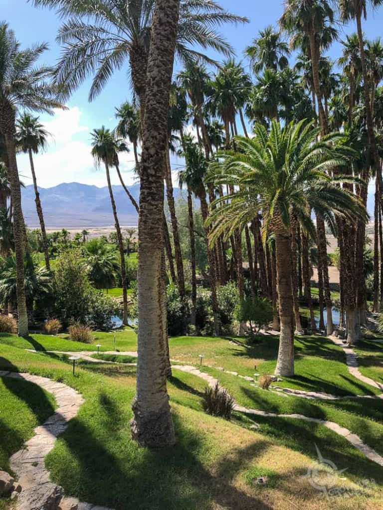 Oasis at Death Valley grounds