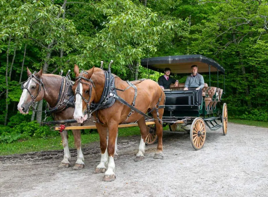 Carriage Tours on Mackinac Island