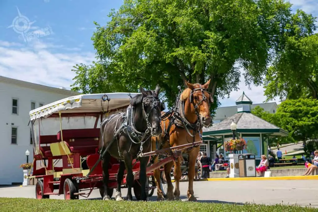 Mackinac Horse and Buggy
