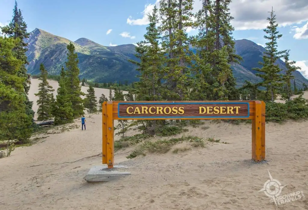 Carcross Desert Yukon