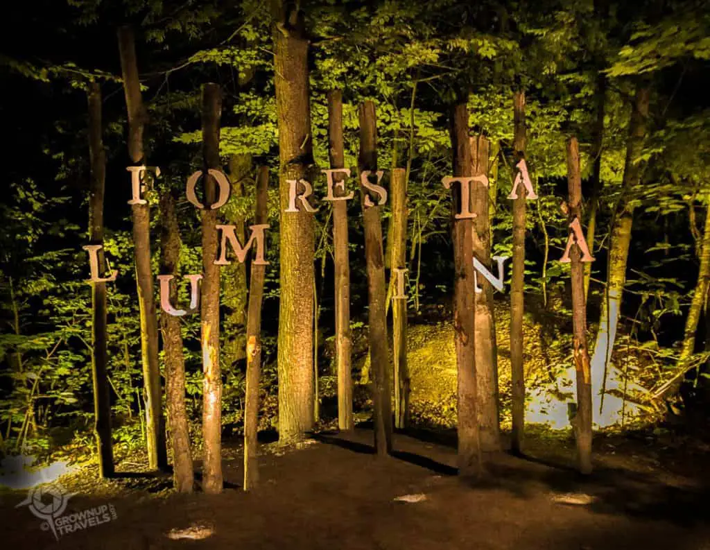 Foresta Lumina Sign night