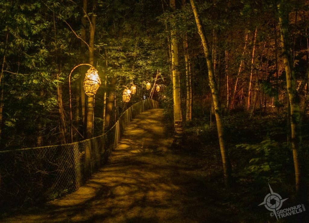 Lantern Paths Foresta Lumina Coaticook