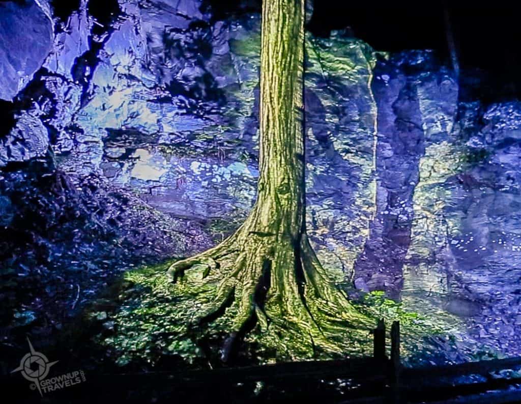 Living Tree Foresta Lumina Coaticook
