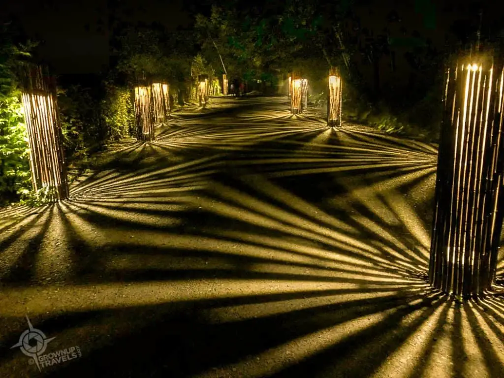 Vertical Lanterns Foresta Lumina path