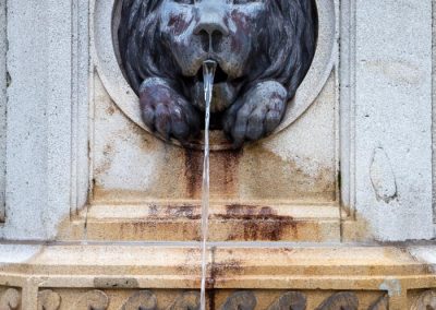Vienna Austria Lion Water Fountain