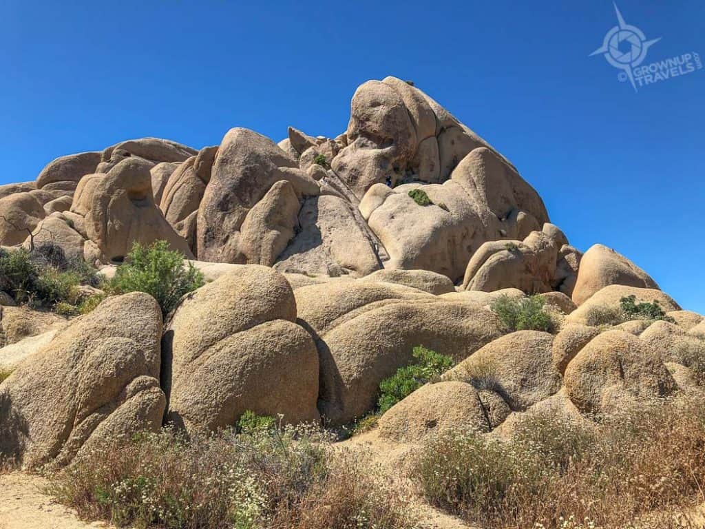 Joshua Tree Nat Park Monzogranite boulders