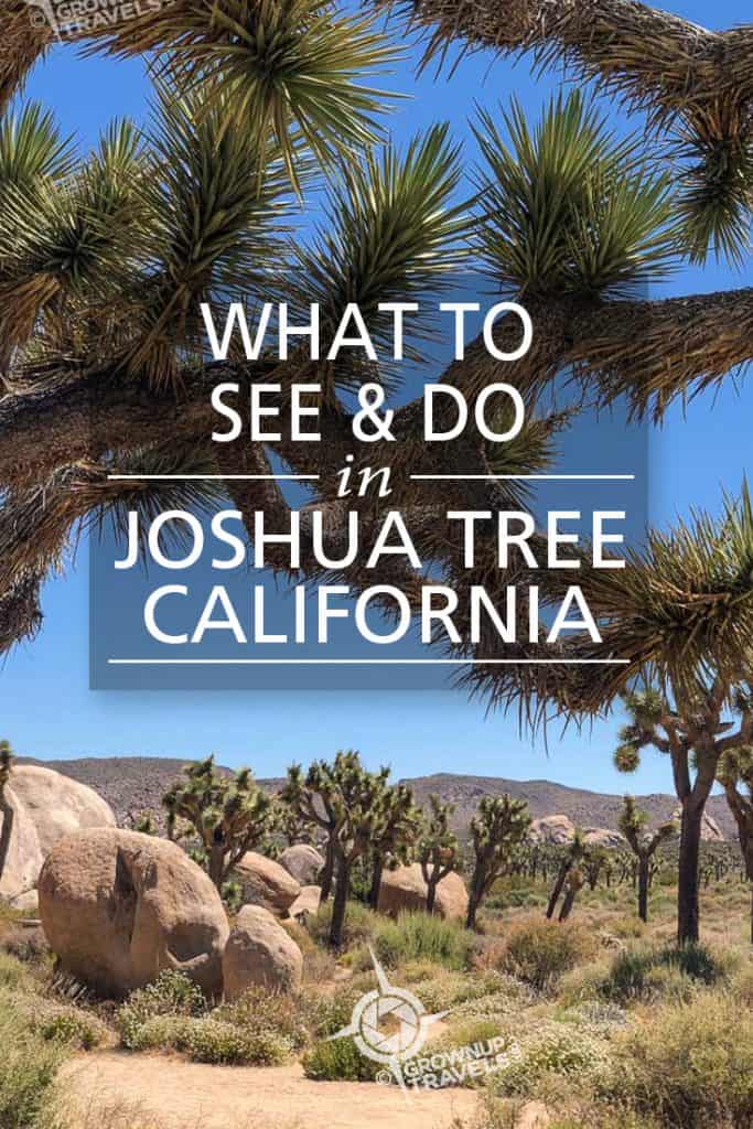 Pinterest_Joshua Tree