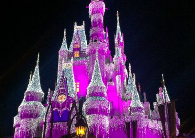 Disney castle frozen pink