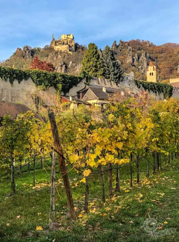 Durnstein Vines and Castle
