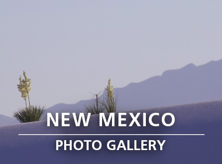 New Mexico Photo Gallery