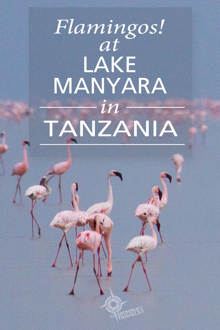 PINTEREST_Flamingos Lake Manyara Tanzania