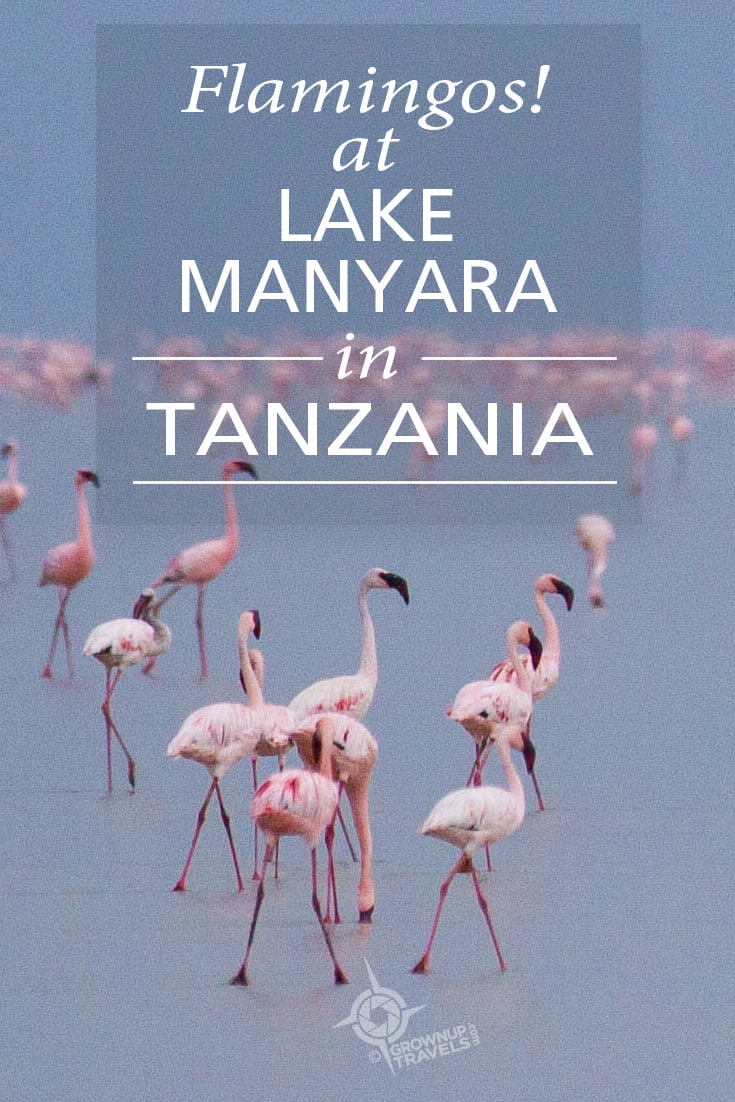 PINTEREST_Flamingos Lake Manyara Tanzania