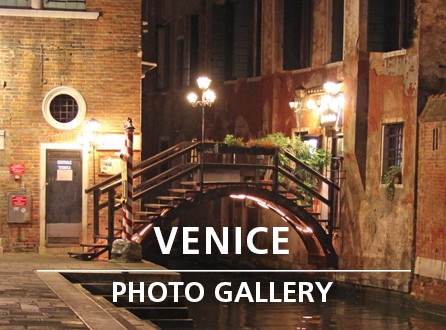 VENICE PHOTO GALLERY_link