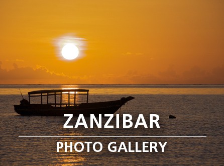 Zanzibar Photo Gallery