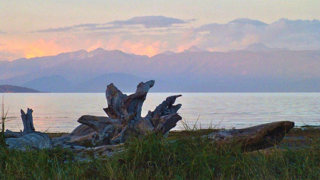 Little Qualicum Estuary