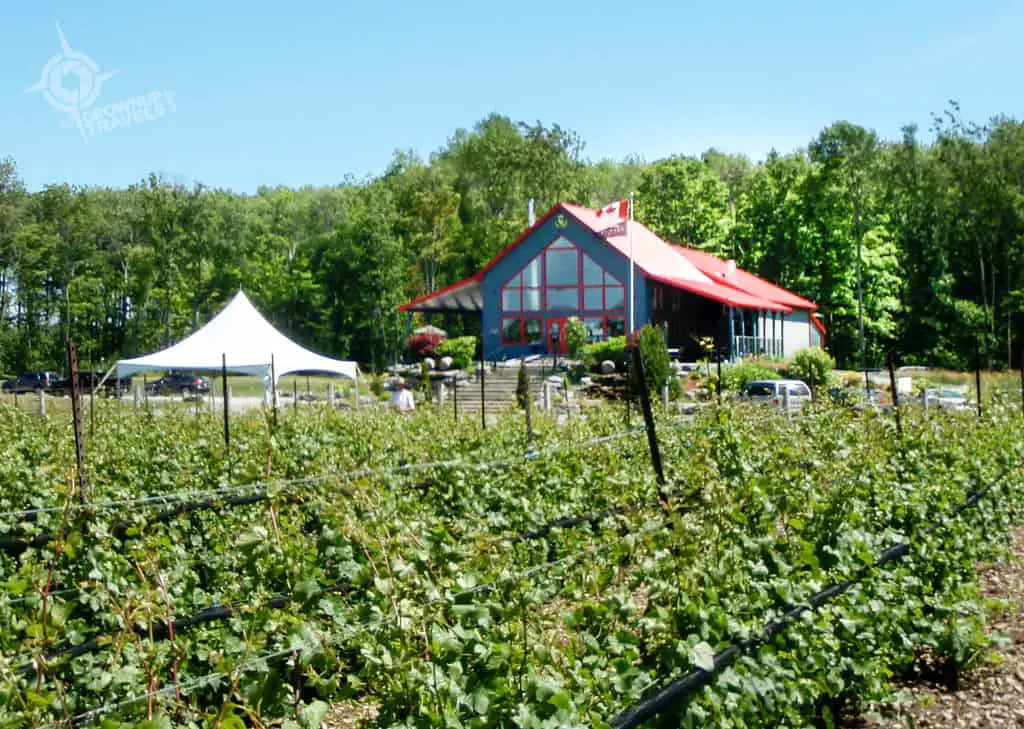 Casa Dea Estates Winery Prince Edward County