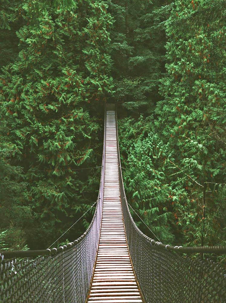 Suspension Bridge *Photo Andrew Amaral Pixabay